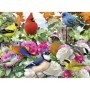 Puzzle Pasari, 500 Piese Ravensburger - 1
